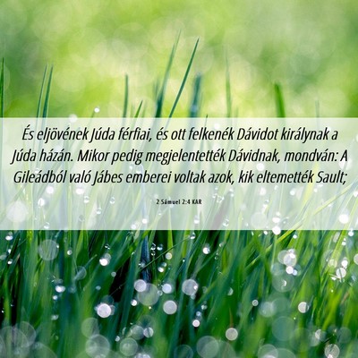 Picture 06 - 2 Sámuel 2:4 KAR - És eljövének Júda férfiai, és ott felkenék - Bible Verse Picture