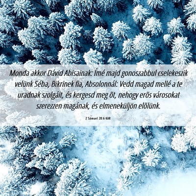 Picture 06 - 2 Sámuel 20:6 KAR - Monda akkor Dávid Abisainak: Ímé majd - Bible Verse Picture