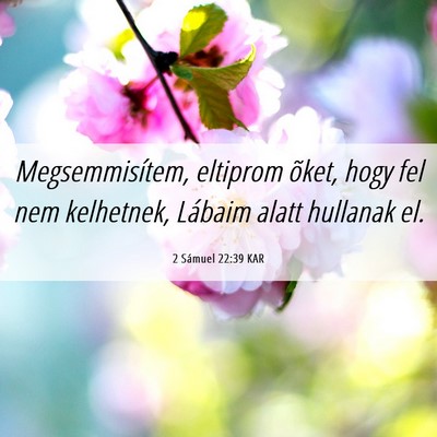 Picture 06 - 2 Sámuel 22:39 KAR - Megsemmisítem, eltiprom õket, hogy fel nem - Bible Verse Picture
