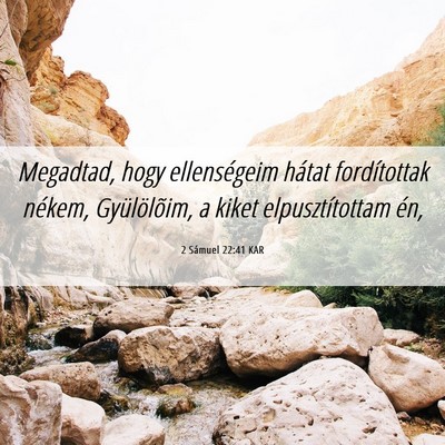 Picture 06 - 2 Sámuel 22:41 KAR - Megadtad, hogy ellenségeim hátat fordítottak - Bible Verse Picture