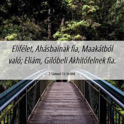 Picture 06 - 2 Sámuel 23:34 KAR - Elifélet, Ahásbainak fia, Maakátból való; - Bible Verse Picture