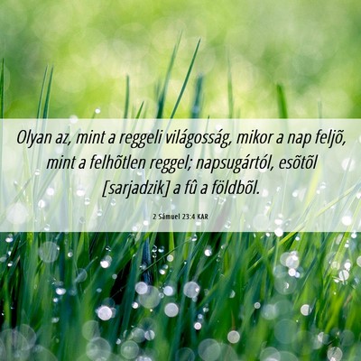 Picture 06 - 2 Sámuel 23:4 KAR - Olyan az, mint a reggeli világosság, mikor a - Bible Verse Picture