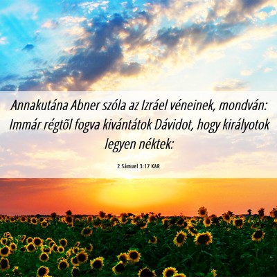 Picture 06 - 2 Sámuel 3:17 KAR - Annakutána Abner szóla az Izráel véneinek, - Bible Verse Picture