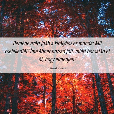 Picture 06 - 2 Sámuel 3:24 KAR - Beméne azért Joáb a királyhoz és monda: Mit - Bible Verse Picture