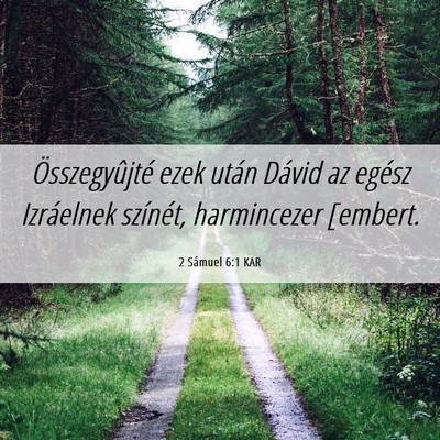 Picture 06 - 2 Sámuel 6:1 KAR - Összegyûjté ezek után Dávid az egész - Bible Verse Picture