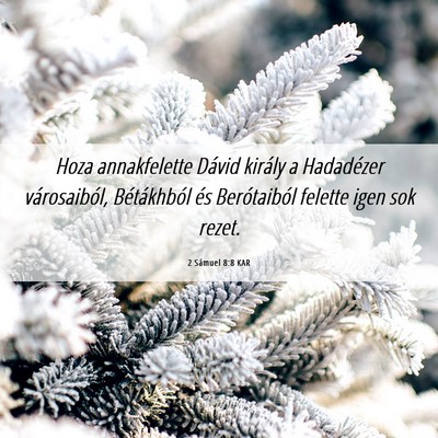 Picture 06 - 2 Sámuel 8:8 KAR - Hoza annakfelette Dávid király a Hadadézer - Bible Verse Picture