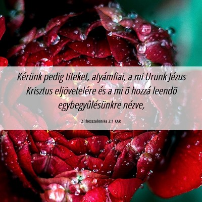 Picture 06 - 2 Thesszalonika 2:1 KAR - Kérünk pedig titeket, atyámfiai, a mi Urunk - Bible Verse Picture
