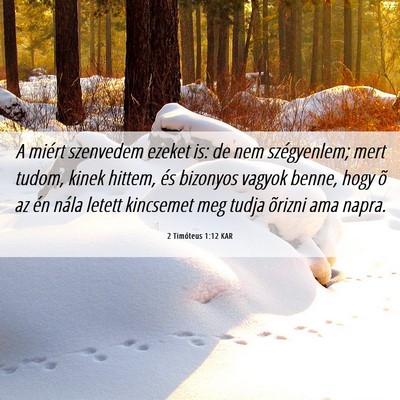 Picture 06 - 2 Timóteus 1:12 KAR - A miért szenvedem ezeket is: de nem szégyenlem; - Bible Verse Picture