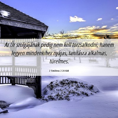 Picture 06 - 2 Timóteus 2:24 KAR - Az Úr szolgájának pedig nem kell torzsalkodni, - Bible Verse Picture
