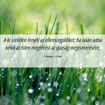 Picture 06 - 2 Timóteus 2:25 KAR - A ki szelíden fenyíti az ellenszegülõket; ha - Bible Verse Picture
