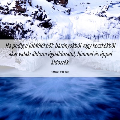 Picture 06 - 3 Mózes 1:10 KAR - Ha pedig a juhfélékbõl: bárányokból vagy - Bible Verse Picture