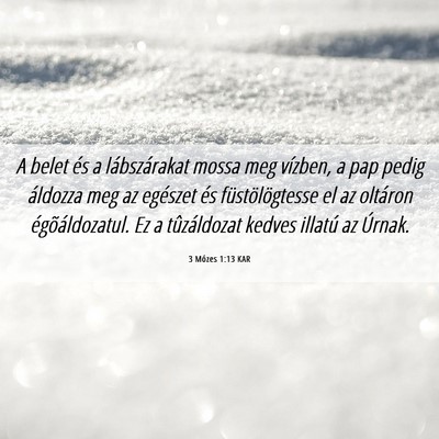 Picture 06 - 3 Mózes 1:13 KAR - A belet és a lábszárakat mossa meg vízben, a - Bible Verse Picture