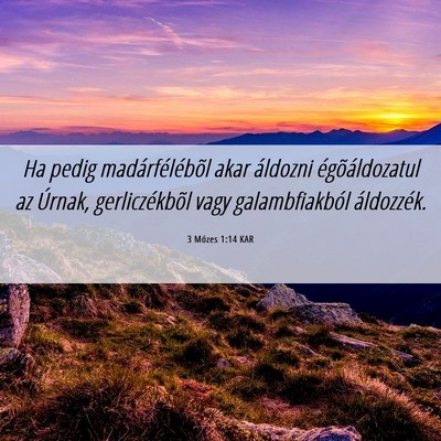 Picture 06 - 3 Mózes 1:14 KAR - Ha pedig madárfélébõl akar áldozni - Bible Verse Picture