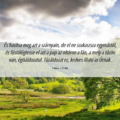 Picture 06 - 3 Mózes 1:17 KAR - És hasítsa meg azt a szárnyain, de el ne - Bible Verse Picture