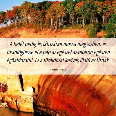 Picture 06 - 3 Mózes 1:9 KAR - A belét pedig és lábszárait mossa meg - Bible Verse Picture