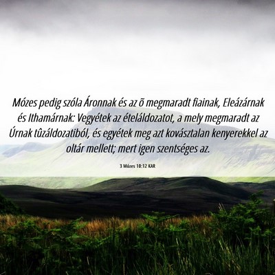 Picture 06 - 3 Mózes 10:12 KAR - Mózes pedig szóla Áronnak és az õ megmaradt - Bible Verse Picture