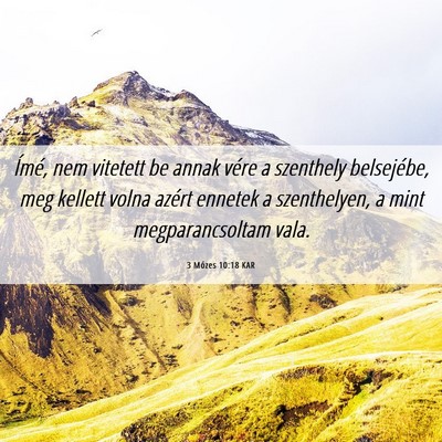 Picture 06 - 3 Mózes 10:18 KAR - Ímé, nem vitetett be annak vére a szenthely - Bible Verse Picture