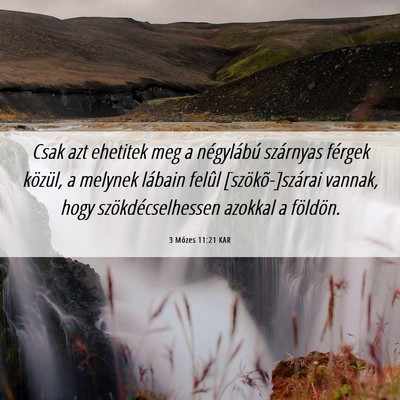 Picture 06 - 3 Mózes 11:21 KAR - Csak azt ehetitek meg a négylábú szárnyas - Bible Verse Picture