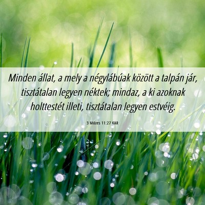 Picture 06 - 3 Mózes 11:27 KAR - Minden állat, a mely a négylábúak között a - Bible Verse Picture