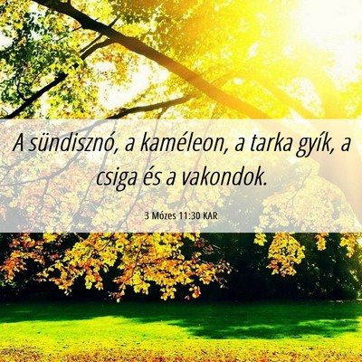 Picture 06 - 3 Mózes 11:30 KAR - A sündisznó, a kaméleon, a tarka gyík, a - Bible Verse Picture