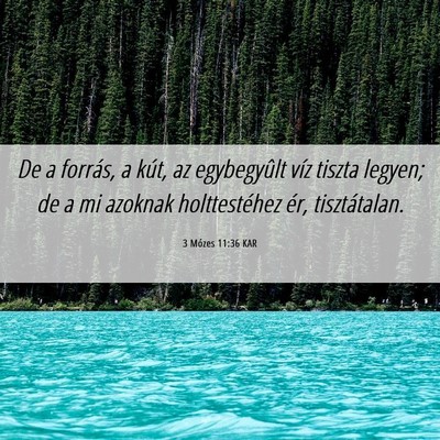 Picture 06 - 3 Mózes 11:36 KAR - De a forrás, a kút, az egybegyûlt víz tiszta - Bible Verse Picture