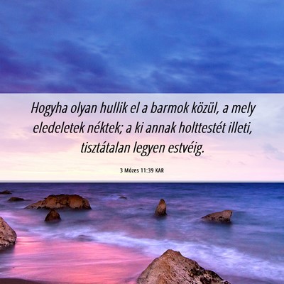 Picture 06 - 3 Mózes 11:39 KAR - Hogyha olyan hullik el a barmok közül, a mely - Bible Verse Picture
