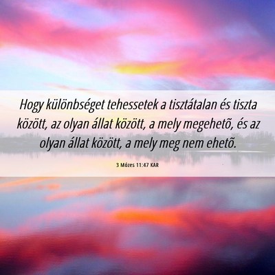 Picture 06 - 3 Mózes 11:47 KAR - Hogy különbséget tehessetek a tisztátalan és - Bible Verse Picture