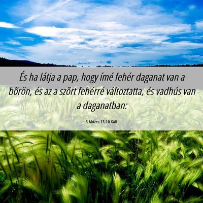 Picture 06 - 3 Mózes 13:10 KAR - És ha látja a pap, hogy ímé fehér daganat - Bible Verse Picture