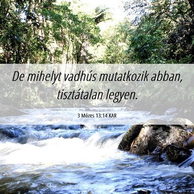 Picture 06 - 3 Mózes 13:14 KAR - De mihelyt vadhús mutatkozik abban, tisztátalan - Bible Verse Picture
