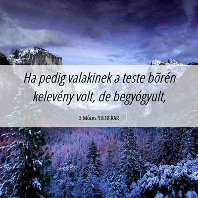 Picture 06 - 3 Mózes 13:18 KAR - Ha pedig valakinek a teste bõrén kelevény - Bible Verse Picture