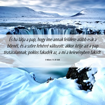 Picture 06 - 3 Mózes 13:20 KAR - És ha látja a pap, hogy íme annak felülete - Bible Verse Picture