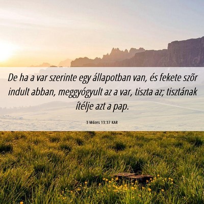 Picture 06 - 3 Mózes 13:37 KAR - De ha a var szerinte egy állapotban van, és - Bible Verse Picture