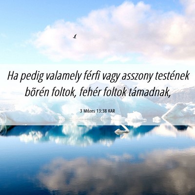 Picture 06 - 3 Mózes 13:38 KAR - Ha pedig valamely férfi vagy asszony testének - Bible Verse Picture