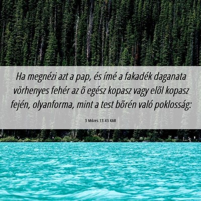 Picture 06 - 3 Mózes 13:43 KAR - Ha megnézi azt a pap, és ímé a fakadék - Bible Verse Picture