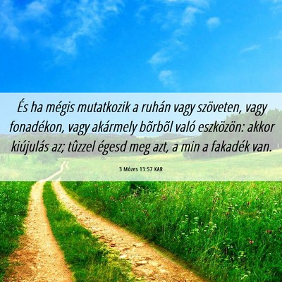 Picture 06 - 3 Mózes 13:57 KAR - És ha mégis mutatkozik a ruhán vagy szöveten, - Bible Verse Picture