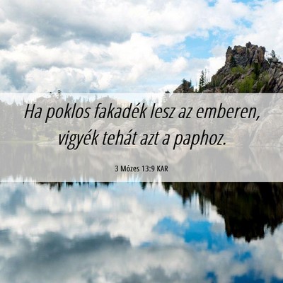 Picture 06 - 3 Mózes 13:9 KAR - Ha poklos fakadék lesz az emberen, vigyék - Bible Verse Picture