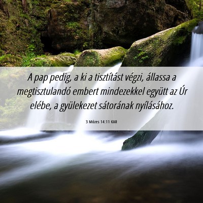 Picture 06 - 3 Mózes 14:11 KAR - A pap pedig, a ki a tisztítást végzi, állassa - Bible Verse Picture