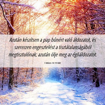 Picture 06 - 3 Mózes 14:19 KAR - Azután készítsen a pap bûnért való - Bible Verse Picture