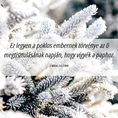 Picture 06 - 3 Mózes 14:2 KAR - Ez legyen a poklos embernek törvénye az õ - Bible Verse Picture