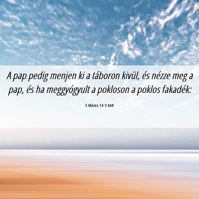 Picture 06 - 3 Mózes 14:3 KAR - A pap pedig menjen ki a táboron kivül, és - Bible Verse Picture