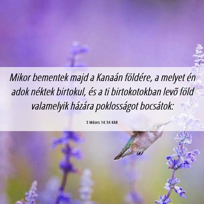 Picture 06 - 3 Mózes 14:34 KAR - Mikor bementek majd a Kanaán földére, a melyet - Bible Verse Picture