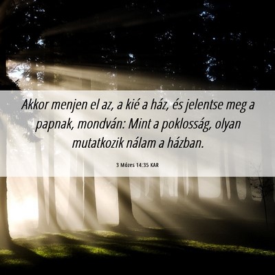 Picture 06 - 3 Mózes 14:35 KAR - Akkor menjen el az, a kié a ház, és jelentse - Bible Verse Picture