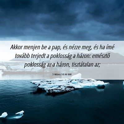 Picture 06 - 3 Mózes 14:44 KAR - Akkor menjen be a pap, és nézze meg, és ha - Bible Verse Picture