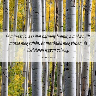 Picture 06 - 3 Mózes 15:22 KAR - És mindaz is, a ki illet bármely holmit, a - Bible Verse Picture