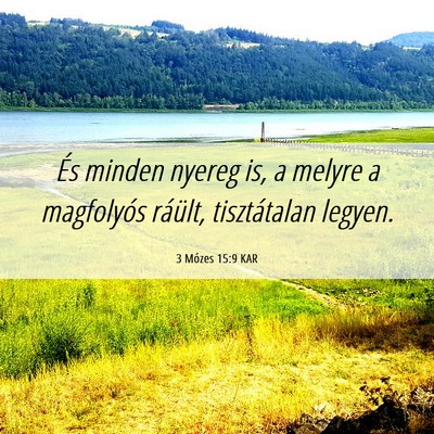 Picture 06 - 3 Mózes 15:9 KAR - És minden nyereg is, a melyre a magfolyós - Bible Verse Picture