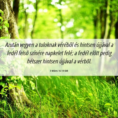 Picture 06 - 3 Mózes 16:14 KAR - Azután vegyen a tuloknak vérébõl és hintsen - Bible Verse Picture
