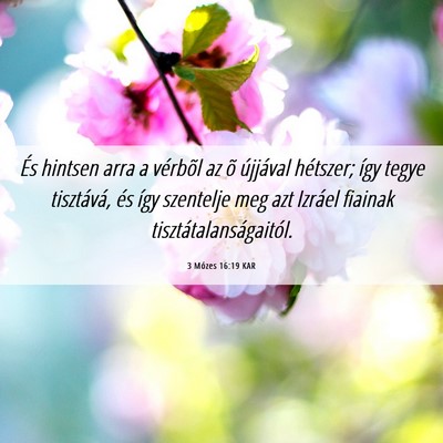 Picture 06 - 3 Mózes 16:19 KAR - És hintsen arra a vérbõl az õ újjával - Bible Verse Picture