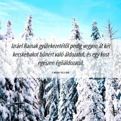 Picture 06 - 3 Mózes 16:5 KAR - Izráel fiainak gyülekezetétõl pedig vegyen - Bible Verse Picture