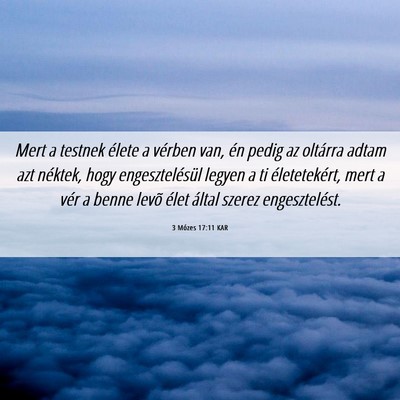 Picture 06 - 3 Mózes 17:11 KAR - Mert a testnek élete a vérben van, én pedig az - Bible Verse Picture