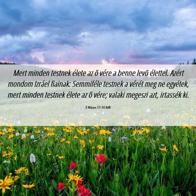 Picture 06 - 3 Mózes 17:14 KAR - Mert minden testnek élete az õ vére a benne - Bible Verse Picture